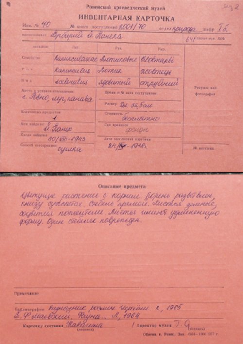 Рівненський обласний краєзнавчий музей [CC BY-NC-SA]